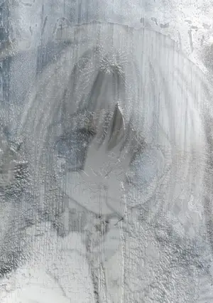 Image image-036