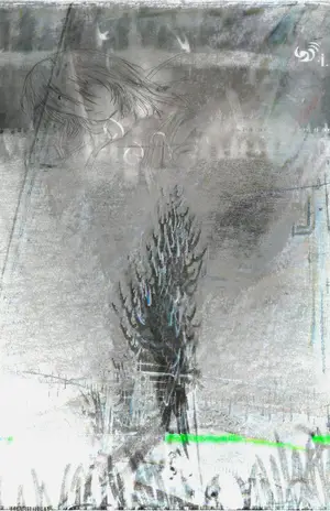 Image image-056